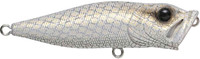 White Python