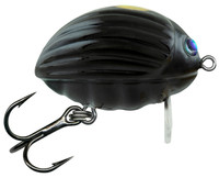 Black Bug