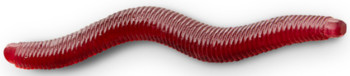 Guma spinningowa Delphin B! StinxWORM