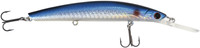 Blue Roach