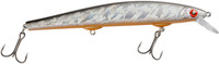 Roach