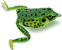 Pool Frog