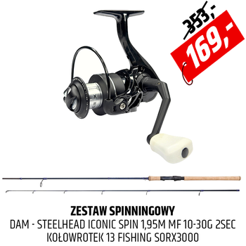Zestaw spinningowy DAM Steelhead Iconic z kołowrotkiem Source X