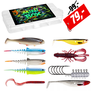 Zestaw przynęt Mini BOX Zander