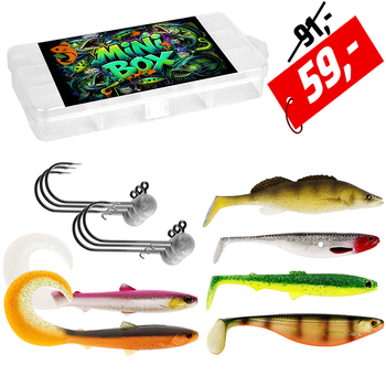 Mini BOX Zander