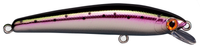 07 Rainbow Trout