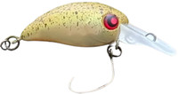 RC POTATO HEAD