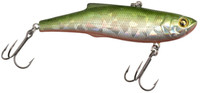 Y175