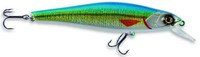Blue Shiner