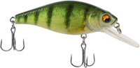 289