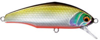 06 TS Foil