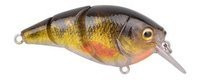 Perch