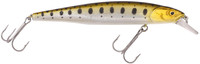 Gold Trout