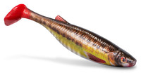 Minnow