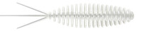 Silver Pearl