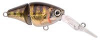 Zander