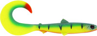 Tiger Perch