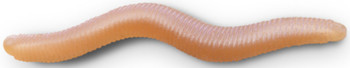 Guma spinningowa Delphin B! StinxWORM
