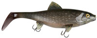 Ultra Realistic Pike