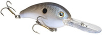 Blue Gizzard Shad