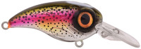 Rainbow Trout