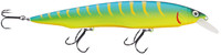 Fluo Tiger