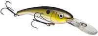 Silver Tn Shad