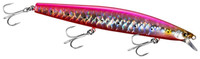 R Sardine