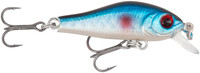 Blue Roach