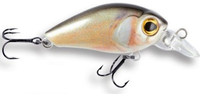 Crucian