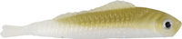 AYU
