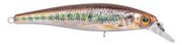 Gudgeon
