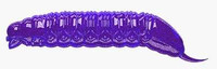 Purple With Glitter