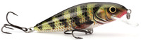 Holo Perch
