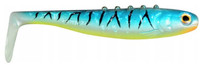 Mackerel