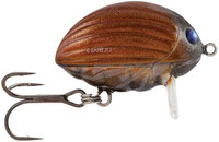 Maybug