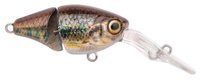 Gudgeon