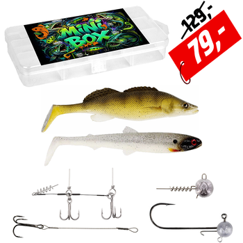 Uzbrojony zestaw na szczupaka! - Mini BOX Pike
