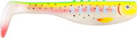 Rainbow Trout