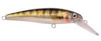 Zander