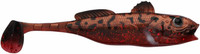 Dragonet