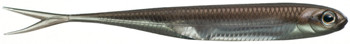 Guma spinningowa Fish Arrow Flash-J Split