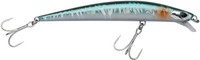 Holo Herring