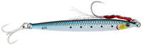 Sardine