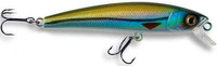 Green Shiner