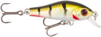 Green Perch