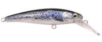 Sea Trout