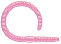 Bubble Gum