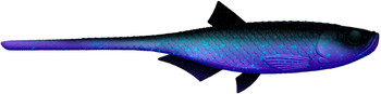 Przynęta gumowa Libra Bleak Slug Tail