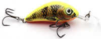 Gold Fluo Perch